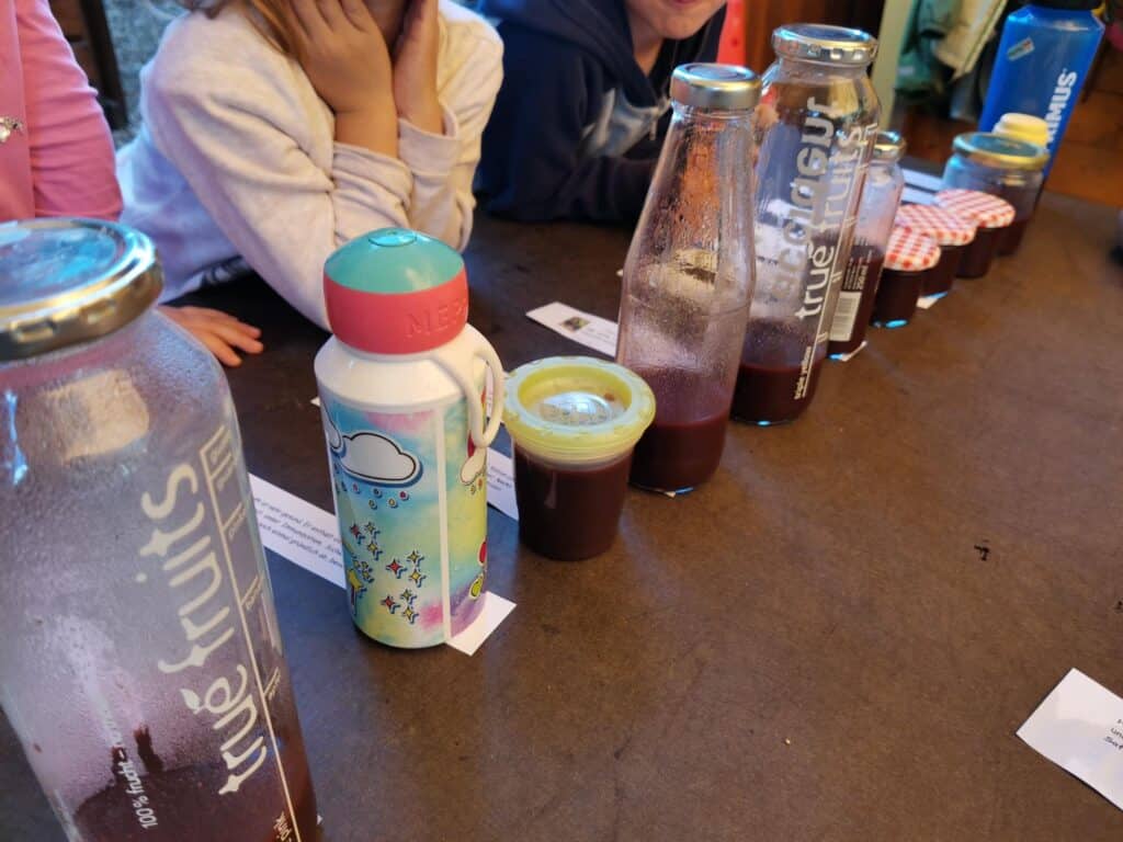 Holundersaft